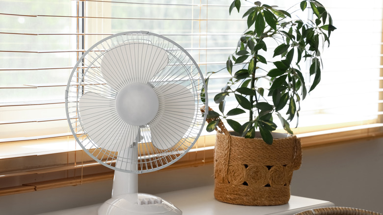 electric fan with houseplant