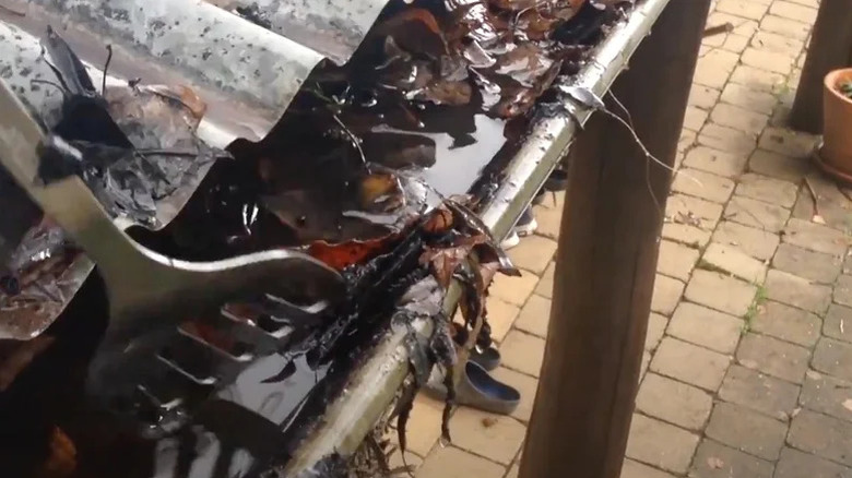 Close-up of a person cleaning a gutter with a kitchen spatula