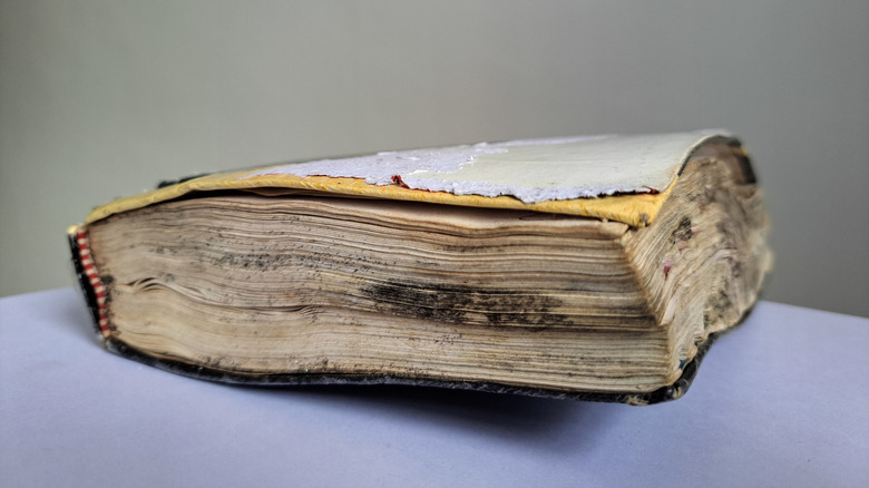An old, worn, and moldy book