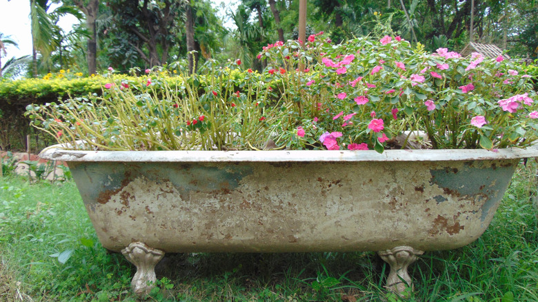 A creative garden scene featuring a vintage, rusted clawfoot bathtub repurposed as a flower planter.
