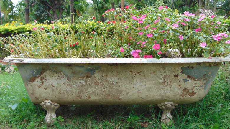 A creative garden scene featuring a vintage, rusted clawfoot bathtub repurposed as a flower planter.