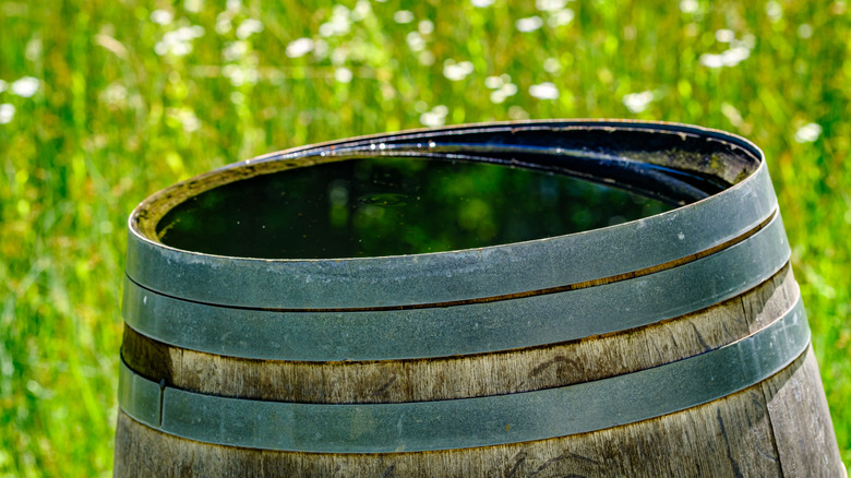 A weathered wooden rain barrel filled with still water
