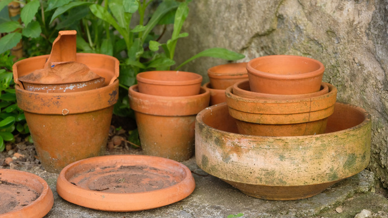 Empty and dirty terracotta pots stacked in a garden