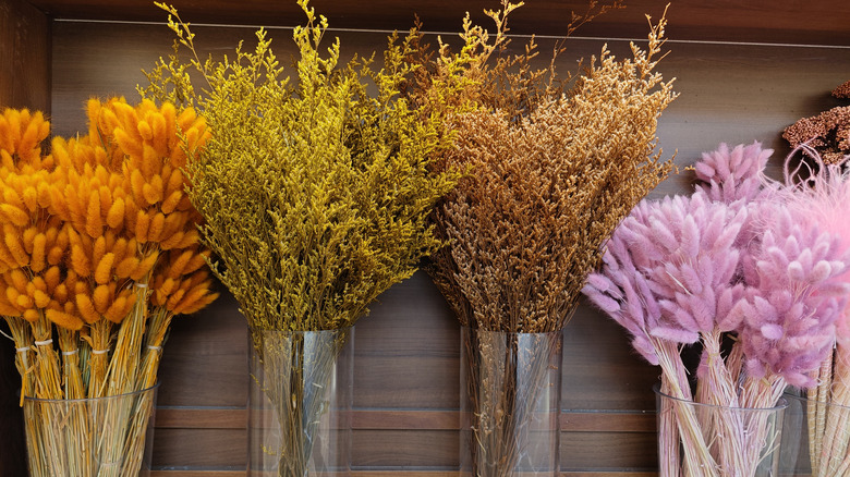 Four different kinds of dried plants placed next to each other in individual glass vases