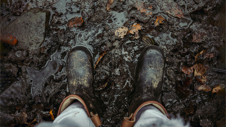 A person wearing muddy boots and standing in mud and leaves
