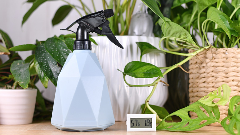 Water spray bottle and hygrometer device to maintain ideal humidity for houseplants