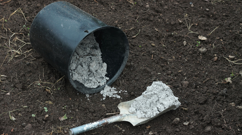 An trowel and overturned bucket filled with ash are set down in garden soil