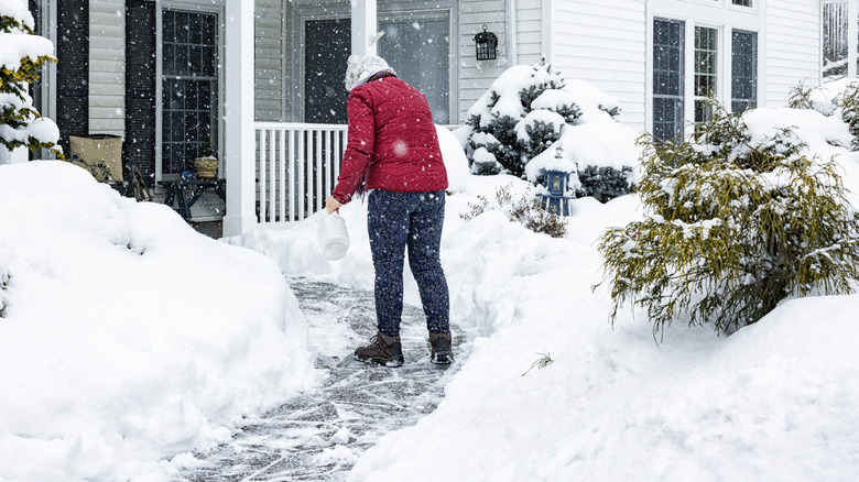 A woman is shown putting down traction material on a snowy walkway