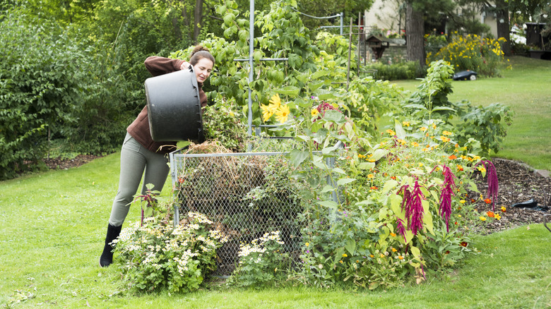 A woman is adding a large bucket of weeds to her fenced-in compost pile