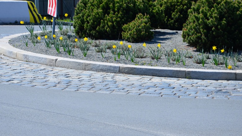 A cobblestone border on a driveway.