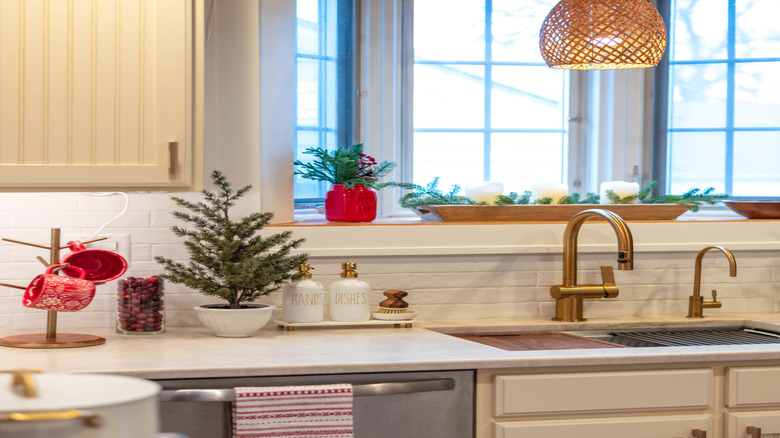 A closeup on a greenhouse window.