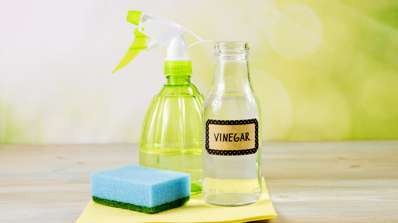 Collection of eco-friendly cleaners with a jar labeled vinegar and green spray bottle and sponge