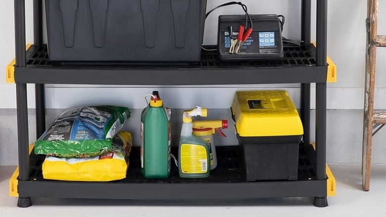 Storage shelves in garage