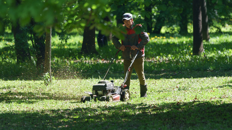 Person mowing grass around trees