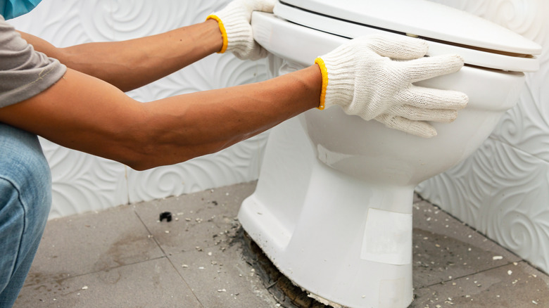 Person removing toilet bowl from floor