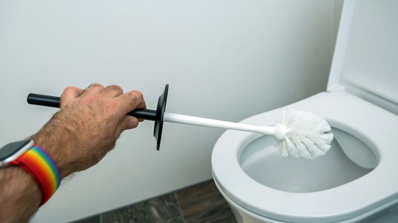 Person holding a white toilet brush over toilet