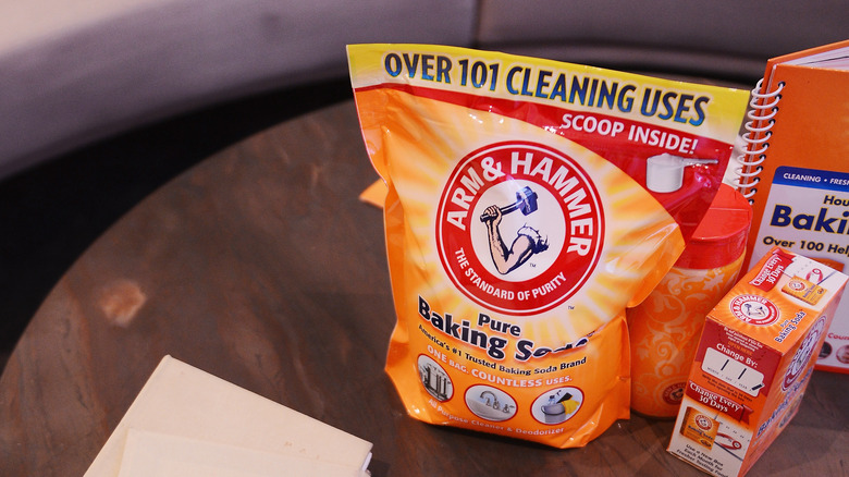 bag of baking soda