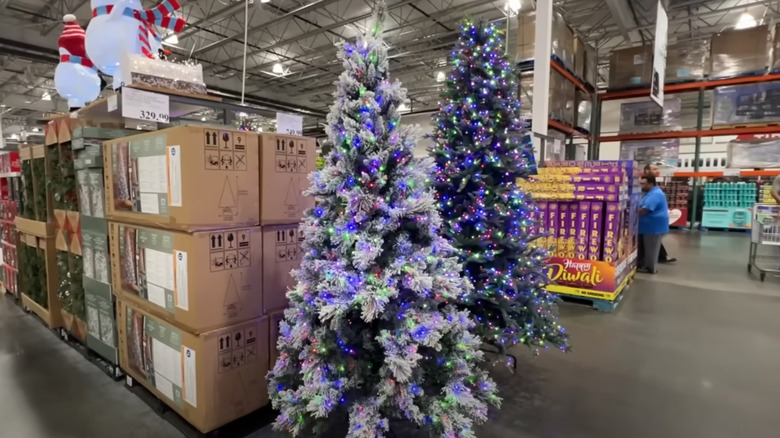 Illuminated artificial Christmas trees in Costco store