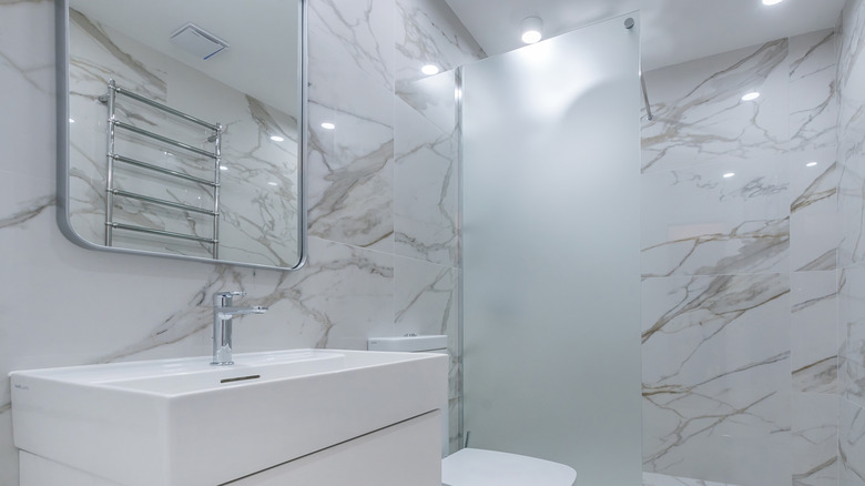 glass shower partition with frosted design