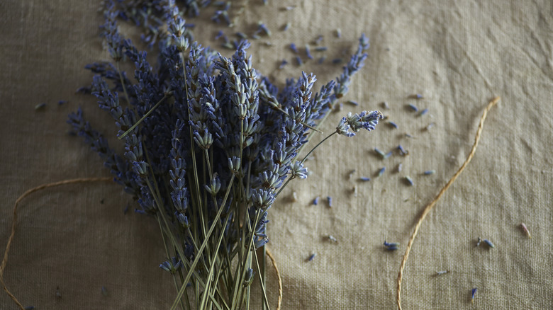 A small, loose pile of lavender lays on a cloth with a twine string next to it.