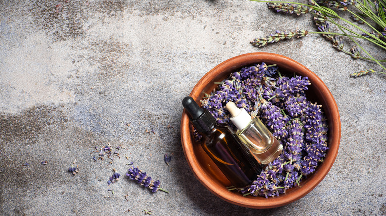 Lavender buds and oil bottles sit in a small bowl on a gray background.