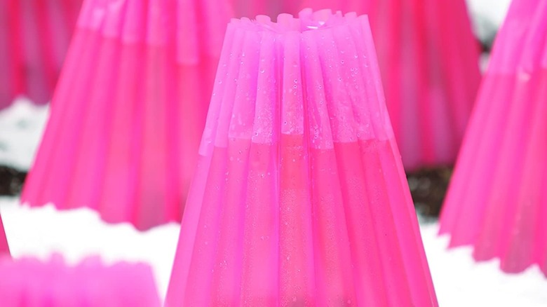 A plant cover filled with water