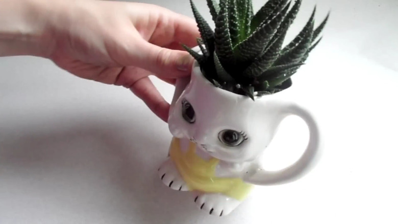 A retro cat teacup turned into a planter