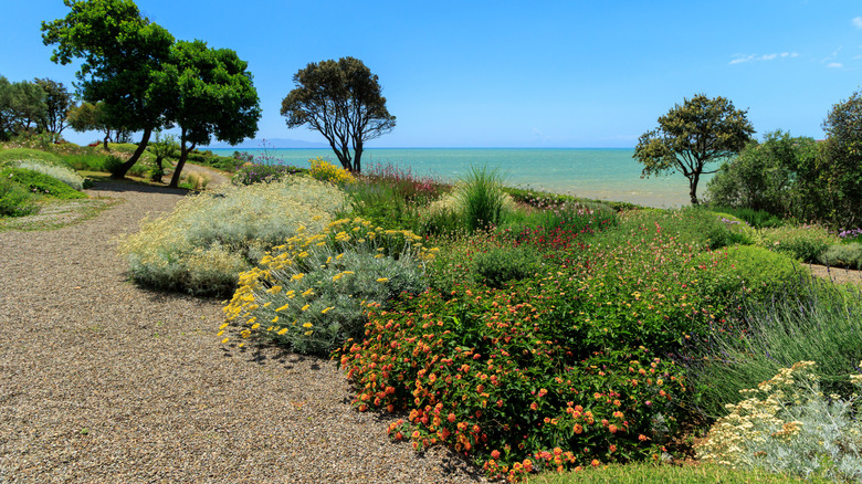 Coastal garden bed with a gravel path and view of the ocean