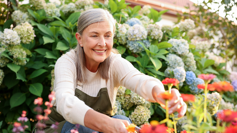 Working in a flower garden with bright flowers