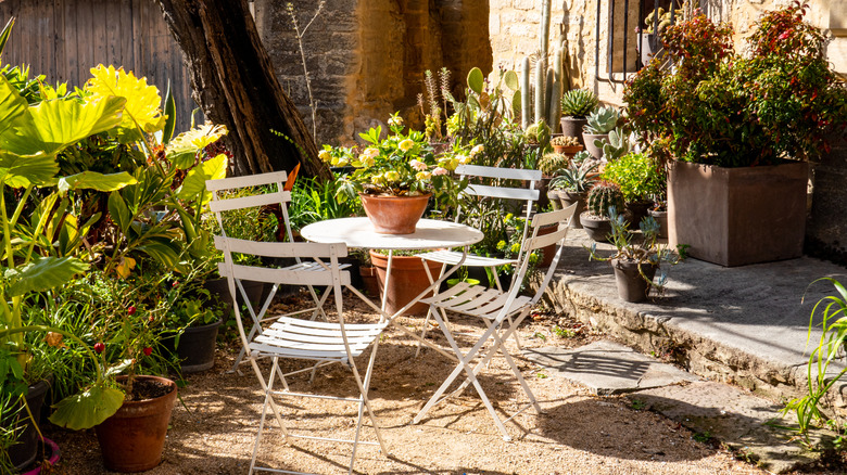 A Mediterranean courtyard with climbing flowers