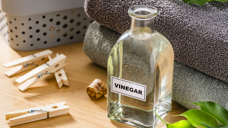 Vinegar rests on a wood table