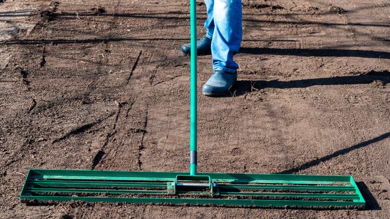 A gardener using a leveling rake to level a lawn