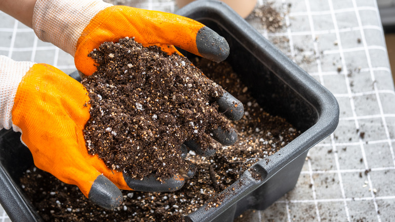 Close up of a gardener's hands in orange gloves holding a composite soil mixture
