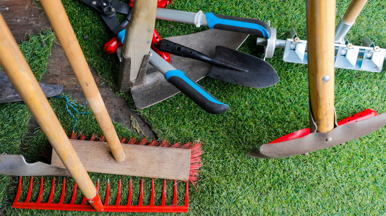 A selection of garden tools