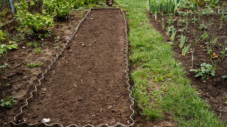 An empty veggie garden plot with bare soil