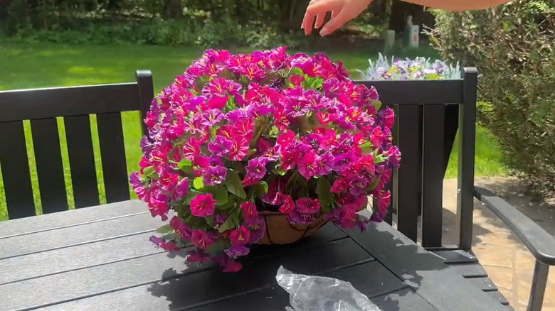 Female hands holding a hanging planter bursting with pink flowers