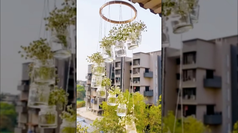 Tiny jar yard decoration with plants