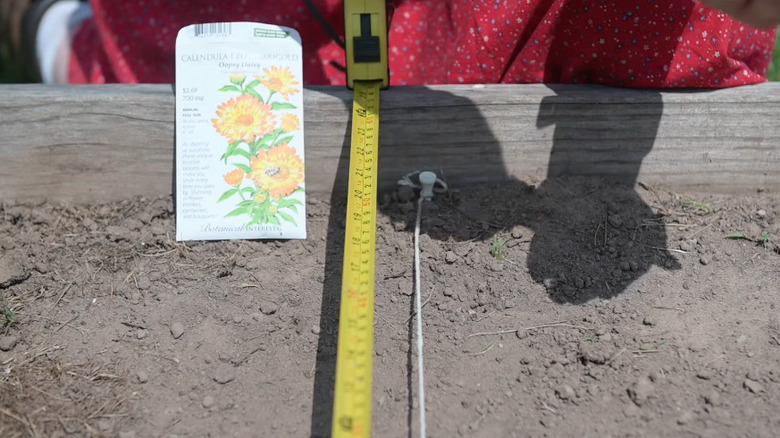 Image showing a golf tee garden row marker