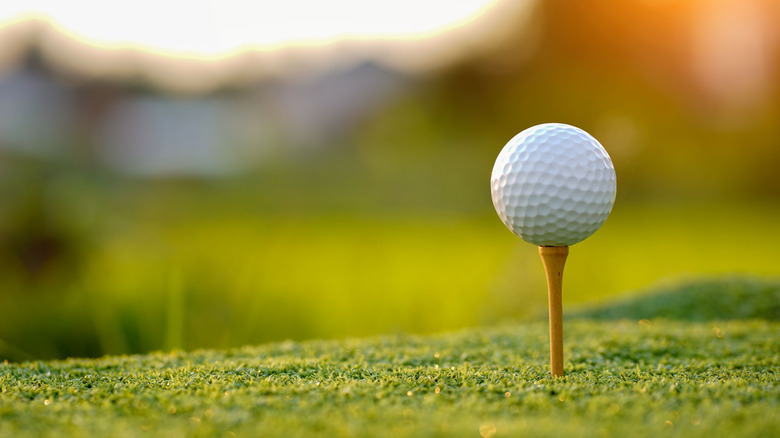Golf ball on tee with blurred outdoor background