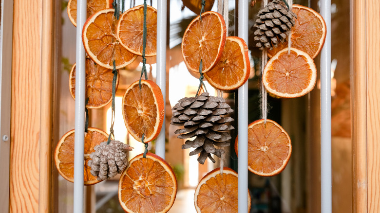 Dried orange and pinecone garland hanging outside