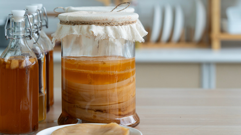 Kombucha brewing jar