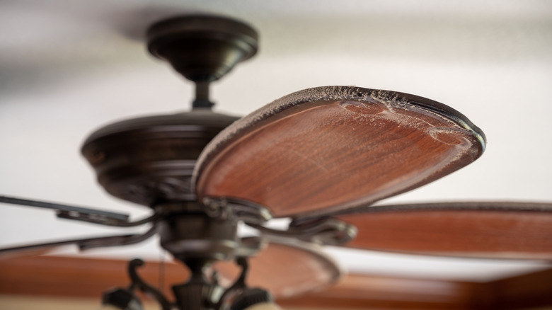Close up of dust on ceiling fan blade