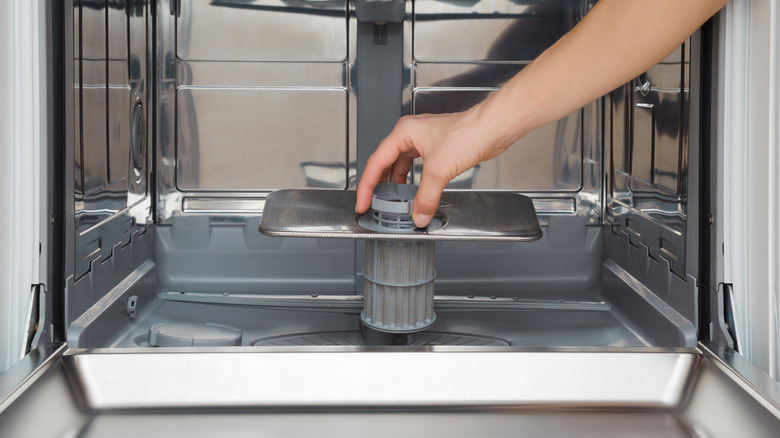 Woman holding dishwasher filter