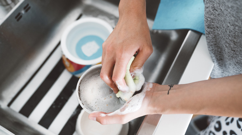 Woman washing pet bowl in sink