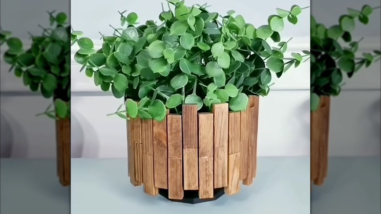 Wood planter with leafy green plant on a light colored surface in front of a white wall