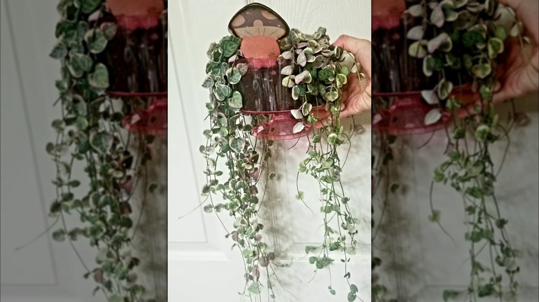 Hand holding a trifle bowl filled with a trailing plant and a decorative mushroom decal