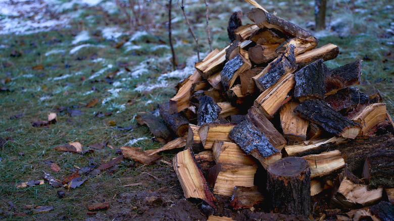Pile of wet firewood outside as traces of snow linger on the ground