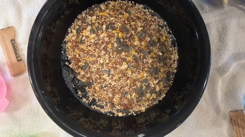 Bird seeds mixed in with gelatin in a black bowl