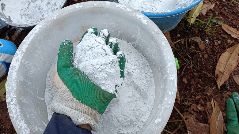A gardener prepares gypsum to add to a garden
