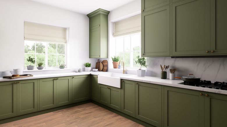 A modern sage green kitchen with white walls.